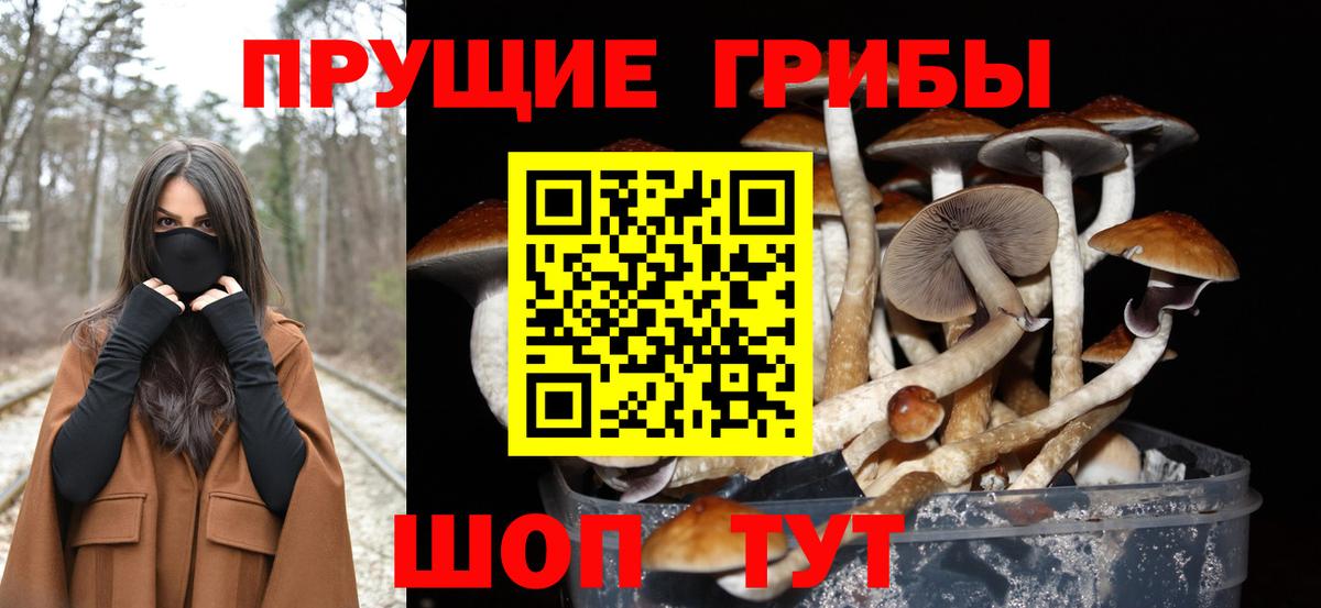 Мирный  Псилоцибиновые грибы Magic Shrooms  Вход с VPN 