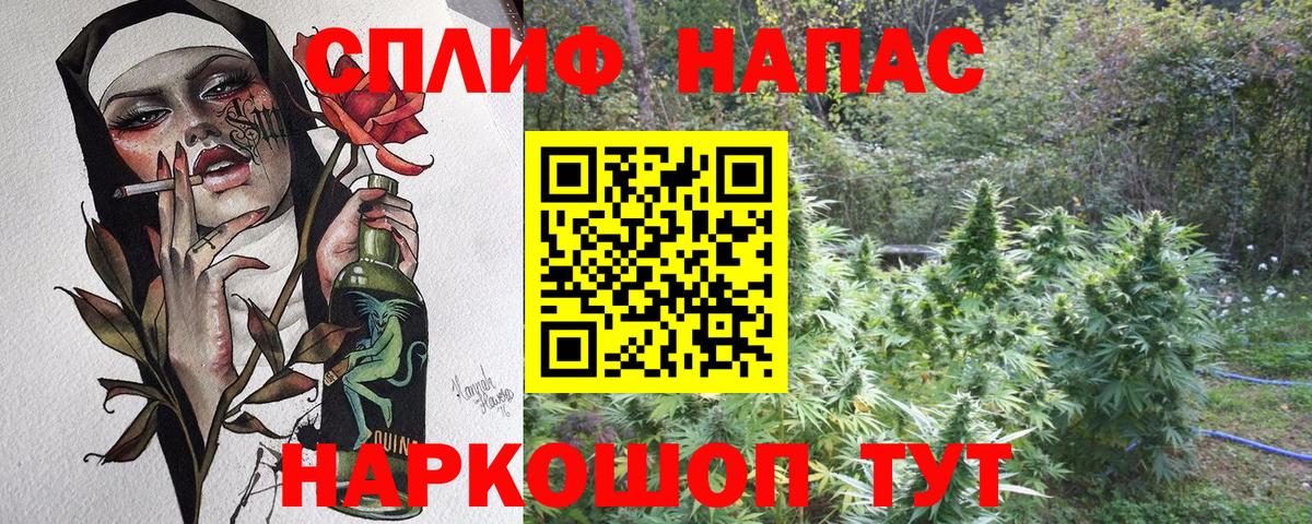 МАРИХУАНА конопля Мирный